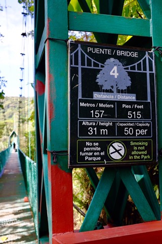 Suspension bridge